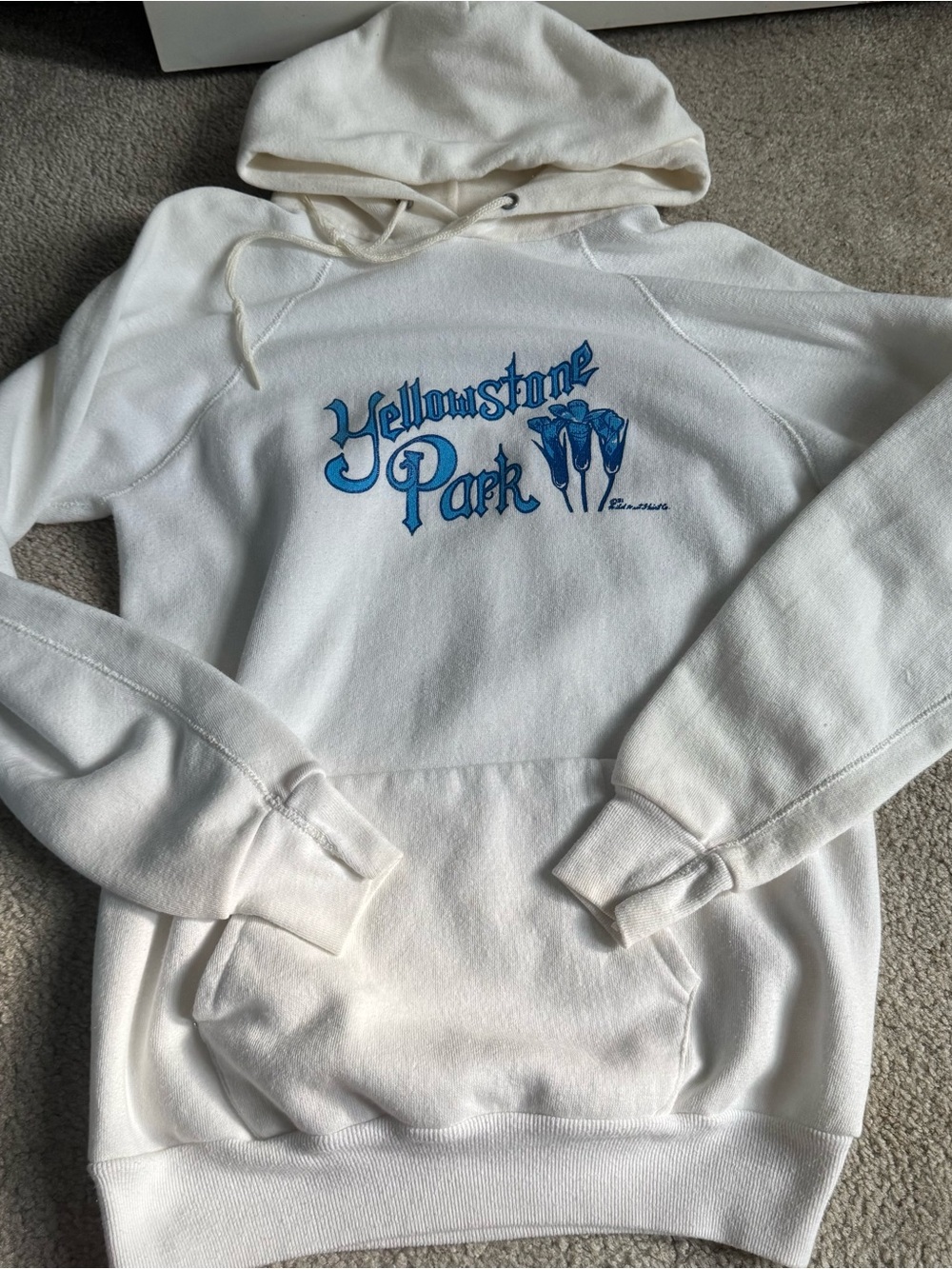 Vintage 80s Yellowstone National Park Hoodie Sweatshirt Retro Gorpcore Off-White